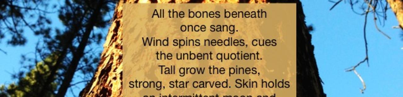 All The Bones featured image.