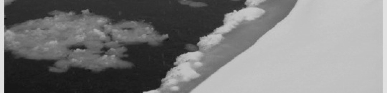 Ice Floes featured image.