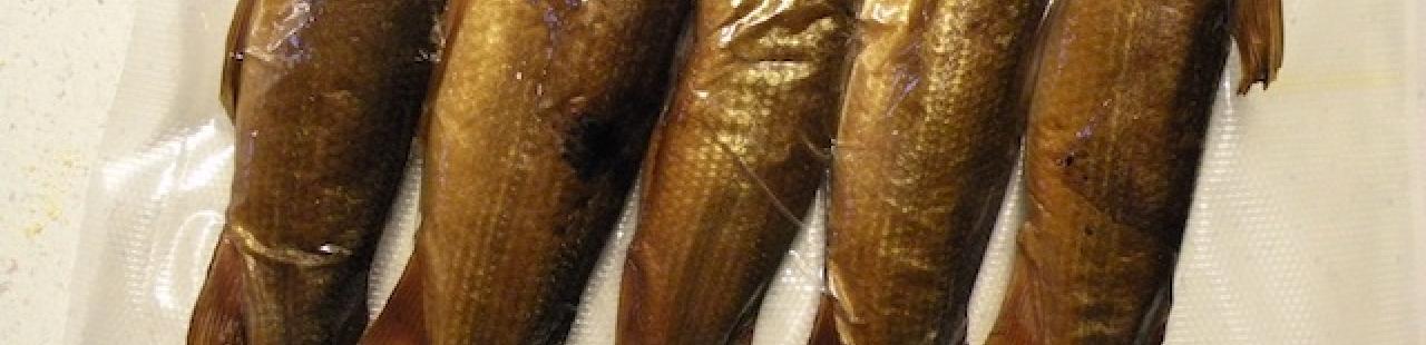 Fishing for Delicious Garbage featured image.